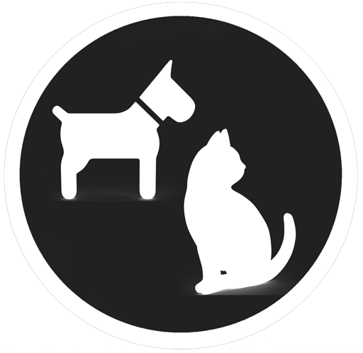 Dog and a cat together Icon